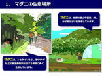 20140506-02_s.jpg
