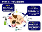 20140506-08_s.jpg