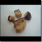 090206-21.jpg