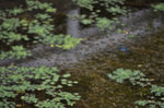 110811-07_s.jpg