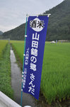 110814-03_s.jpg