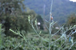 110924-08_s.jpg