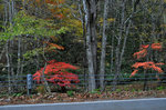 111027-611_s.jpg