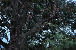 111109-02_s.jpg