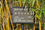 111119-02_s.jpg