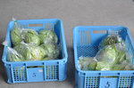 120304-02_s.jpg