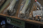120328-09_s.jpg