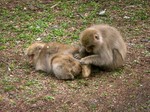 20100820-04_s.jpg