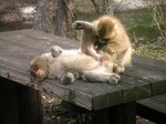 20100820-05_s.jpg