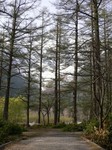 20100820-06_s.jpg