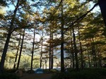 20100820-08_s.jpg
