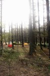 20100820-10_s.jpg