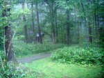 20100820-21_s.jpg