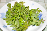 20120524-37_s.jpg