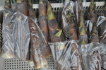 20120603-04_s.jpg