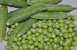 20120605-01_s.jpg