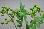20120606-01_s.jpg
