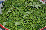 20120607-01_s.jpg