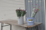 20120612-02_s.jpg