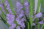 20120818-04_s.jpg