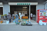 20120827-02_s.jpg