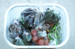 20120827-04_s.jpg
