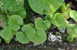 20121030-01_s.jpg