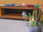 20121218-03_s.jpg