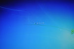 20130314-02_s.jpg