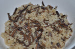 20130417-01_s.jpg