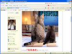 20130525-01_s.jpg
