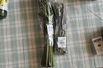 20130531-01_s.jpg