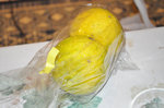 20131025-11_s.jpg