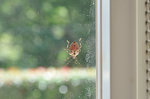20131031-02_s.jpg