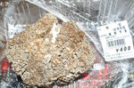 20131101-04_s.jpg