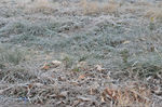20141207-06_s.jpg