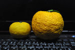 20141208-01_s.jpg