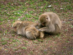 20160123-01.jpg