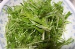 20160319-01_s.jpg