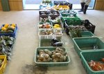 20160802-03.jpg