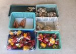 20160802-04.jpg