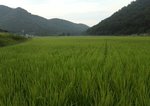 20160808-13_s.jpg