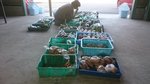 20160822-05_s.jpg