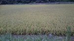 20160829-04_s.jpg
