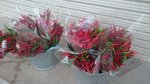 20160912-03_s.jpg