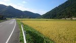 20160912-07_s.jpg