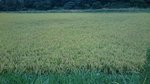 20160919-03_s.jpg