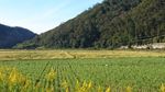 20181013-11_s.jpg